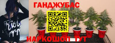 кокс Будённовск