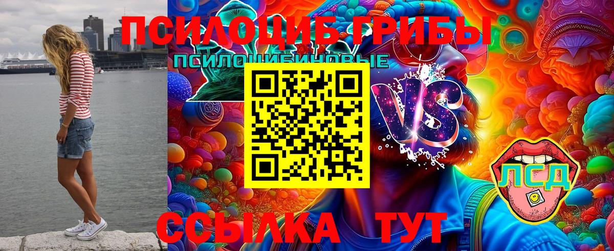 Псилоцибиновые грибы MAGIC MUSHROOMS Новоалександровск