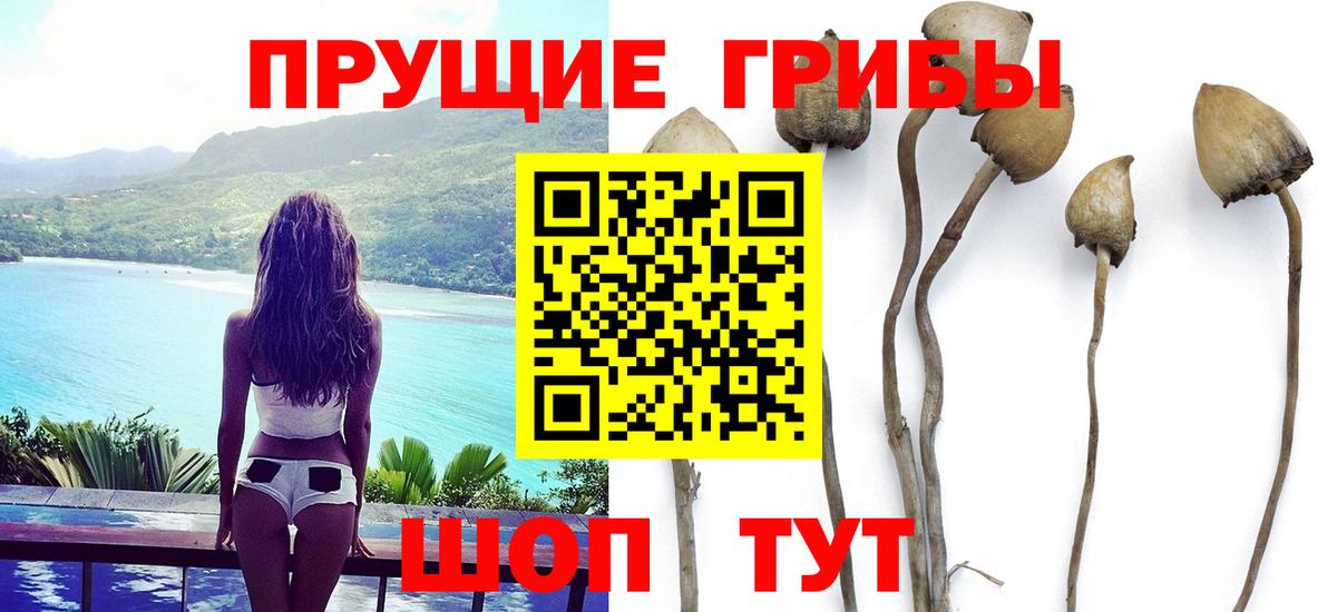 Новоалександровск  Псилоцибиновые грибы MAGIC MUSHROOMS  Вход с VPN 